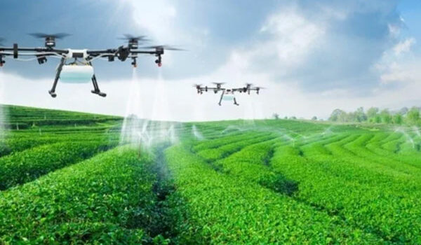 Agriculture